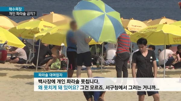 (자료:KNN뉴스 화면 갈무리)