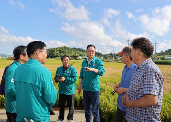 명현관 군수가 벼멸구 방제지역에 방문해 점검하고 있다. (사진=해남군)