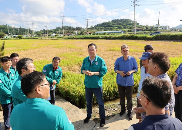 명현관 군수가 벼멸구 피해지역을 방문해 점검하고 있다. (사진=해남군)