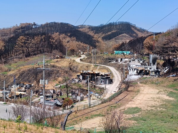 주택 90%가 전소된 영덕군 석리마을. 김태현 기자