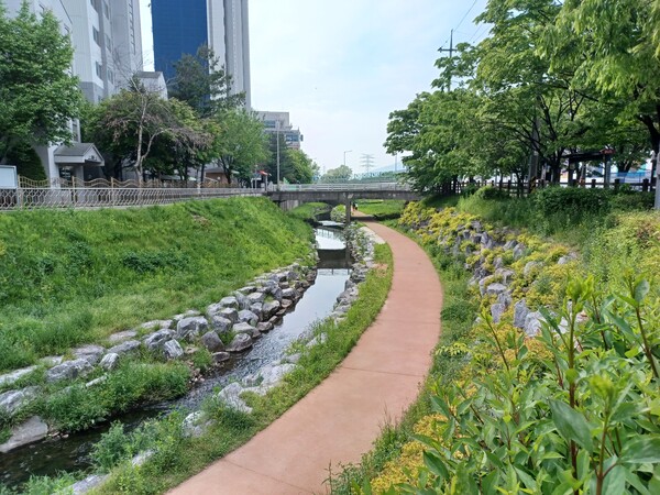 DL이앤씨 컨소시엄의 신혼희망타운 ‘e편한세상 대장 퍼스티움’과 ‘오정휴먼시아3단지’ 사이 베르네천에 조성된 산책로. 김태현 기자