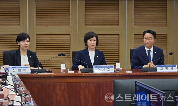 '대전환 시대, 소상공인·자영업자 미래 10년 전략' 2차 토론회가 30일 오후 국회의원회관에서 열렸다. 왼쪽부터 더불어민주당 전현희·오세희·조정식 의원. 설인호 기자. 