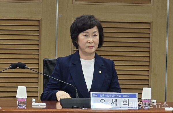 더불어민주당 오세희 의원. 설인호 기자.