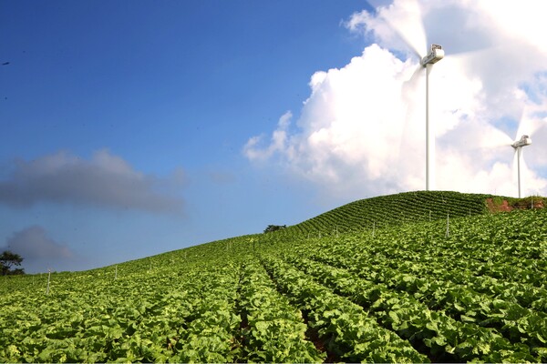 경북 영양군은 농작업 대행반, 계절근로자 등 농업 관련 지원을 확대하고 석보면에 논농업범용화 사업을 추진, 안정적인 농업 용수 공급, 고추 스마트팜, 엽채류·과실 전문단지 조성 등 스마트 농업 생산기반을 구축하고 있다.(사진=영양군)
