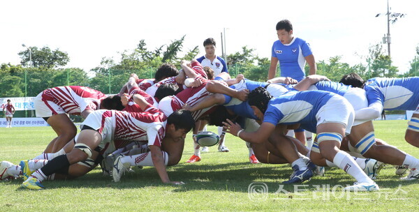 대통령기 럭비.사진/강진군