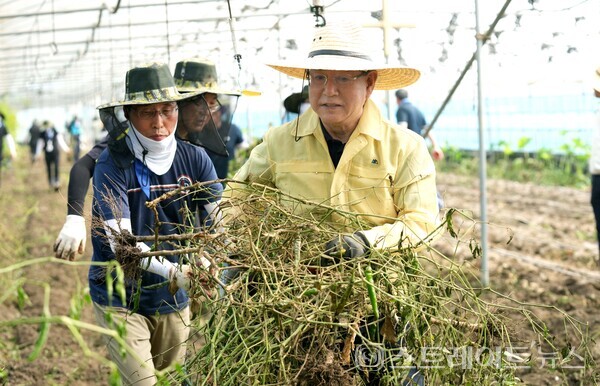 김영록 지사가 24일 오전 집중호우 피해를 입은 나주 문평면 농가를 찾아 수해복구 봉사활동을 하고 있다.사진/전남도