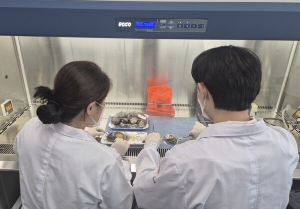 광주보건환경연구원 연구사들이 수산물 식중독 원인균인 병원성 비브리오균 검체 분석을 위해 시료를 채취하고 있다./광주시