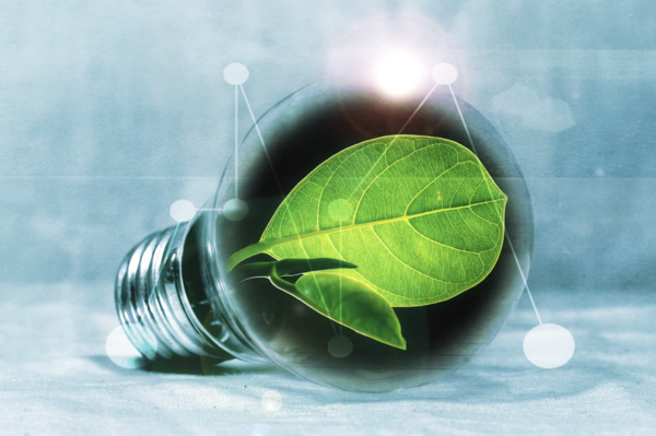 픽사베이 제공.