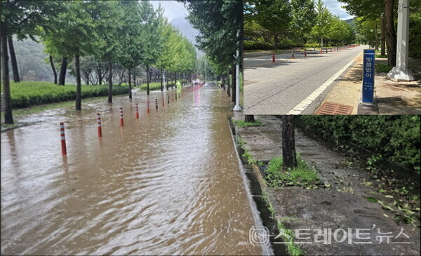 빗물받이 정비 사진. 화순군