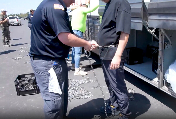 지난 4일(현지시간) 조지아주 현대차그룹-LG에너지솔루션의 합작 배터리 공장 건설 현장에서 벌인 불법체류·고용 단속 현장 영상. 미국 이민세관단속국 홈페이지 영상 캡처. 연합뉴스.  