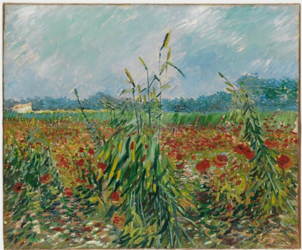 ‘인상파, 찬란한 순간들: 모네, 르누아르, 반 고흐 그리고 세잔’ 전시가 얼리버드 예매 열기에 힘입어 4500원에 관람할 수 있는 파격적인 추가 할인 혜택을 진행한다. 사진은 반 고흐의 ‘밀밭의 양귀비’. 이엔에이파트너스 제공